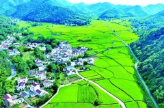 新桥处事处新建村